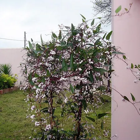 Βίλα Villa Rosa